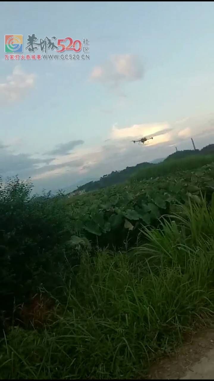 恭城栗木良溪村，高科技进农村了，无人机帮忙来打药水415 / 作者:恭城栗木人 / 帖子ID:236633