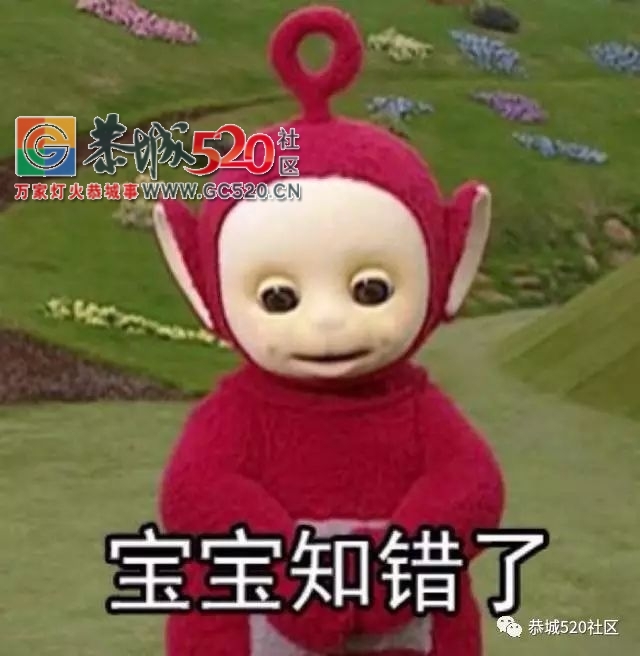 注意！两女子带一小孩在莲花持假钞行骗|一桶水在莲花引发连环事故348 / 作者:社区小编 / 帖子ID:236812