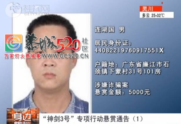 速度扩散 | 如果你在恭城看到这些人，赶紧报警，危险！541 / 作者:深秋的落叶 / 帖子ID:236847