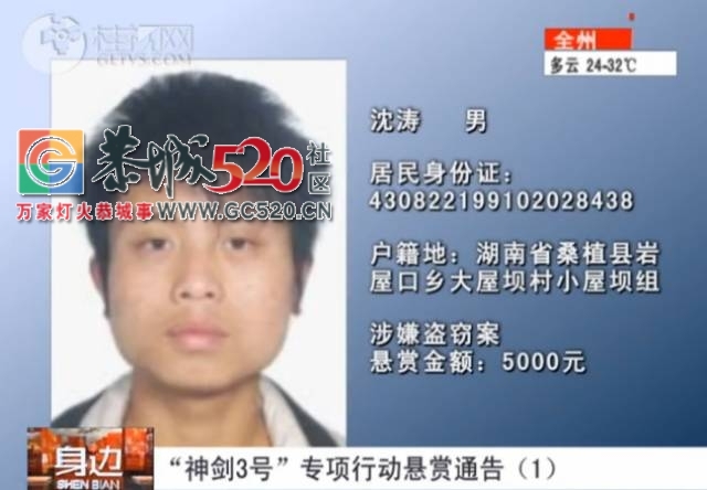 速度扩散 | 如果你在恭城看到这些人，赶紧报警，危险！698 / 作者:深秋的落叶 / 帖子ID:236847