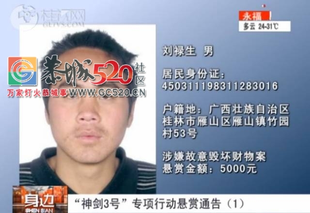 速度扩散 | 如果你在恭城看到这些人，赶紧报警，危险！177 / 作者:深秋的落叶 / 帖子ID:236847