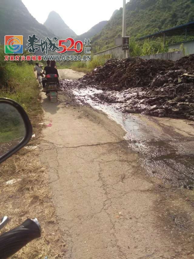 西岭进龙岗马山脚路段垃圾倒路边无人处理，影响当地的村民出行！栗木街再现新招专...156 / 作者:社区小编 / 帖子ID:237138