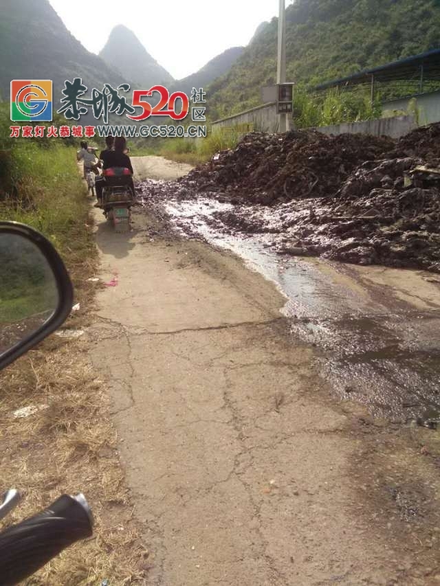 西岭进龙岗马山脚路段垃圾倒路边无人处理，影响当地的村民出行！栗木街再现新招专...122 / 作者:社区小编 / 帖子ID:237138