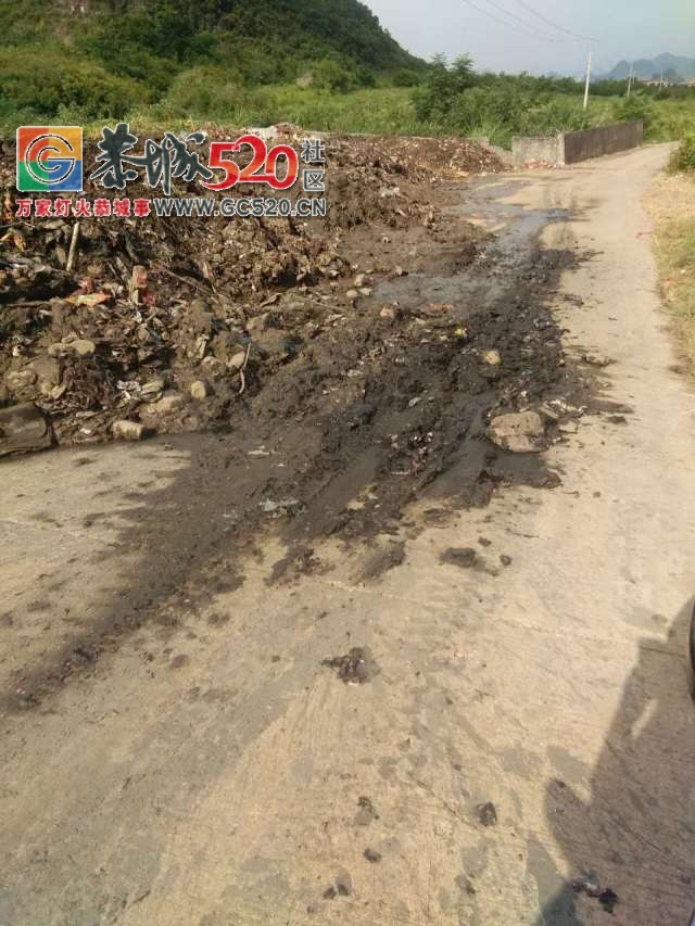 西岭进龙岗马山脚路段垃圾倒路边无人处理，影响当地的村民出行！栗木街再现新招专...896 / 作者:社区小编 / 帖子ID:237138