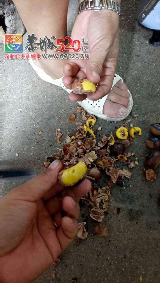 西岭进龙岗马山脚路段垃圾倒路边无人处理，影响当地的村民出行！栗木街再现新招专...480 / 作者:社区小编 / 帖子ID:237138