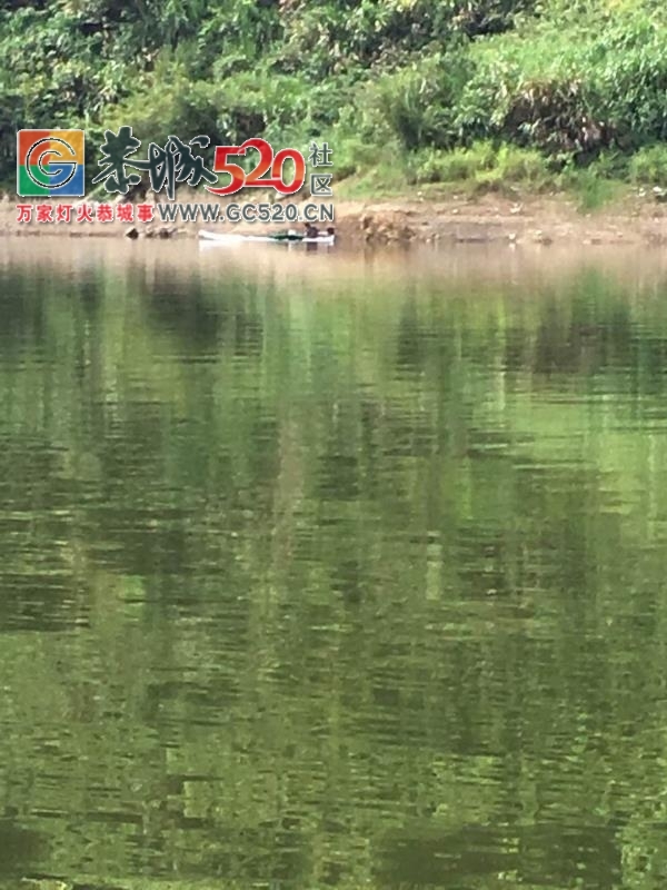 恭城花田刚水库为什么还能下网搞鱼，还经常看见电鱼？669 / 作者:儿时的回忆 / 帖子ID:237164