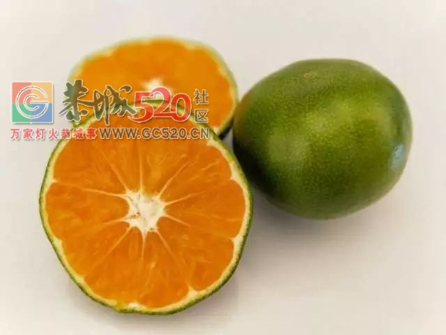 恭城的“蜜柑”熟了！ 边摘边吃，还是小时候的味道！597 / 作者:社区小编 / 帖子ID:237168