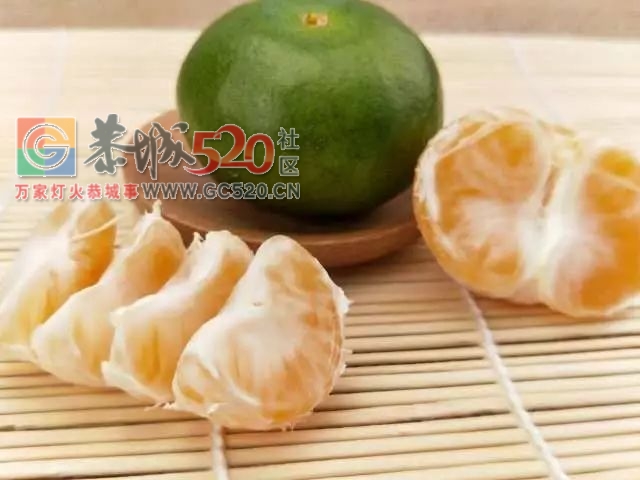 恭城的“蜜柑”熟了！ 边摘边吃，还是小时候的味道！887 / 作者:社区小编 / 帖子ID:237168