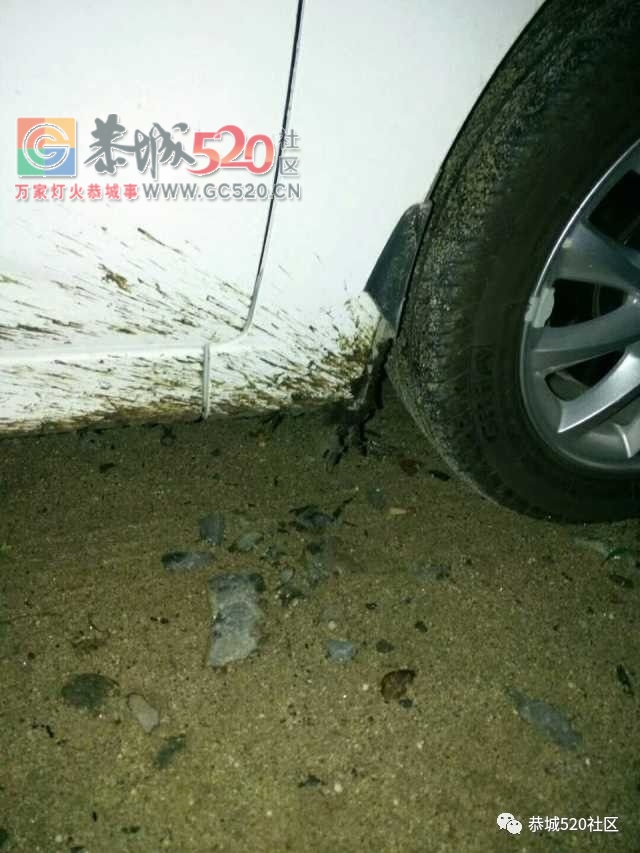 昨夜不少司机在这走了“牛屎运”|孟家桥头电缆线掉落望处理229 / 作者:社区小编 / 帖子ID:237185