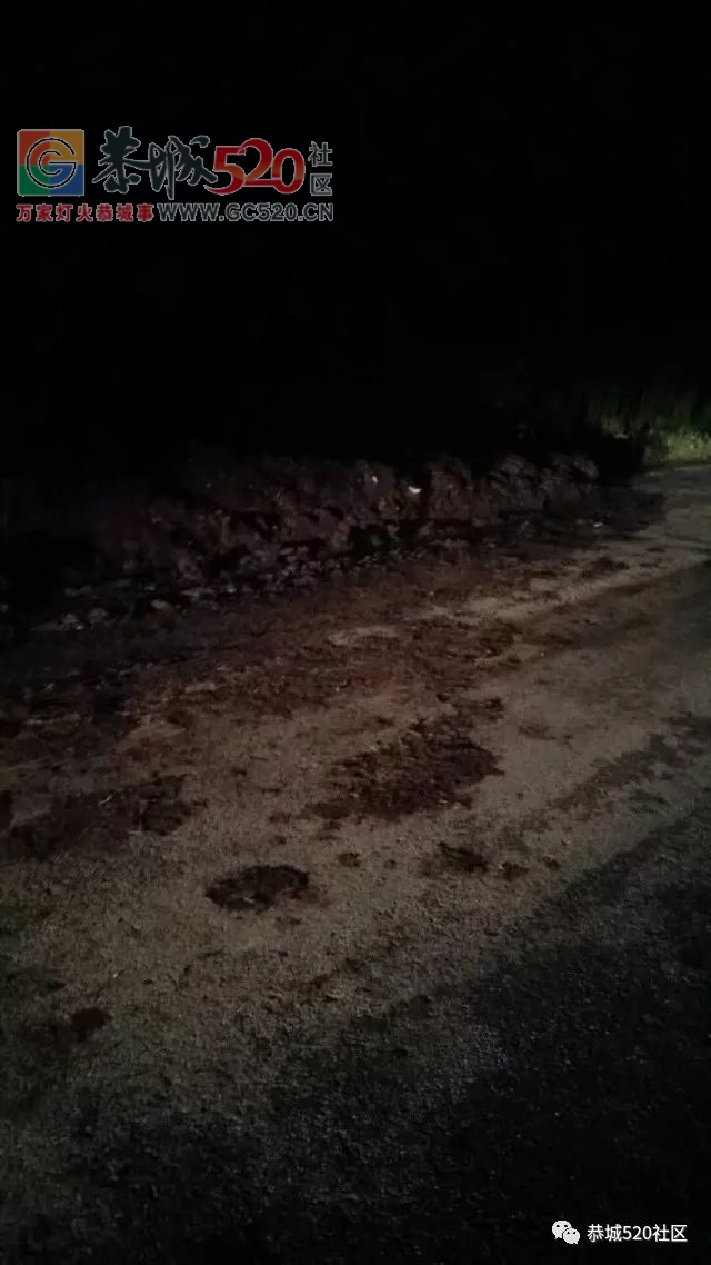 昨夜不少司机在这走了“牛屎运”|孟家桥头电缆线掉落望处理574 / 作者:社区小编 / 帖子ID:237185