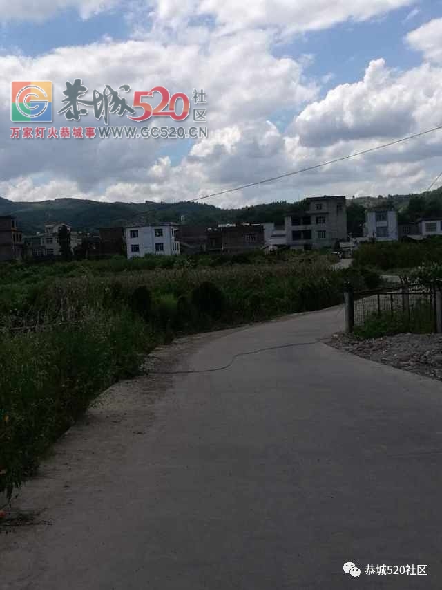 昨夜不少司机在这走了“牛屎运”|孟家桥头电缆线掉落望处理327 / 作者:社区小编 / 帖子ID:237185