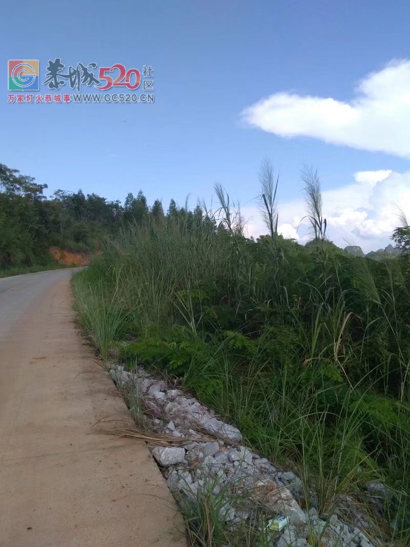 一人一骑摩旅布泉河，更望湖。14 / 作者:408619418 / 帖子ID:237387