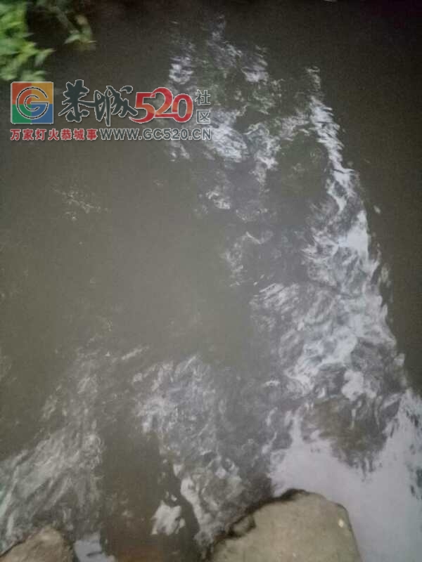 隔夜饭都要吐出来了！周家塘水库养猪场污水乱排放，已经影响我们的生活用水了！381 / 作者:讲不出神 / 帖子ID:237391