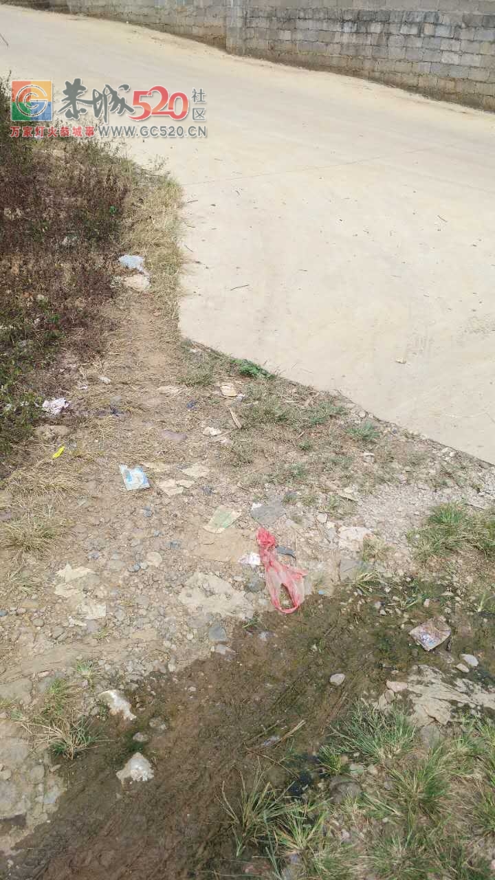 西岭乡下宋村委龙岩自然村垃圾成堆无人清理！垃圾费照收！191 / 作者:脚踏实地 / 帖子ID:237393