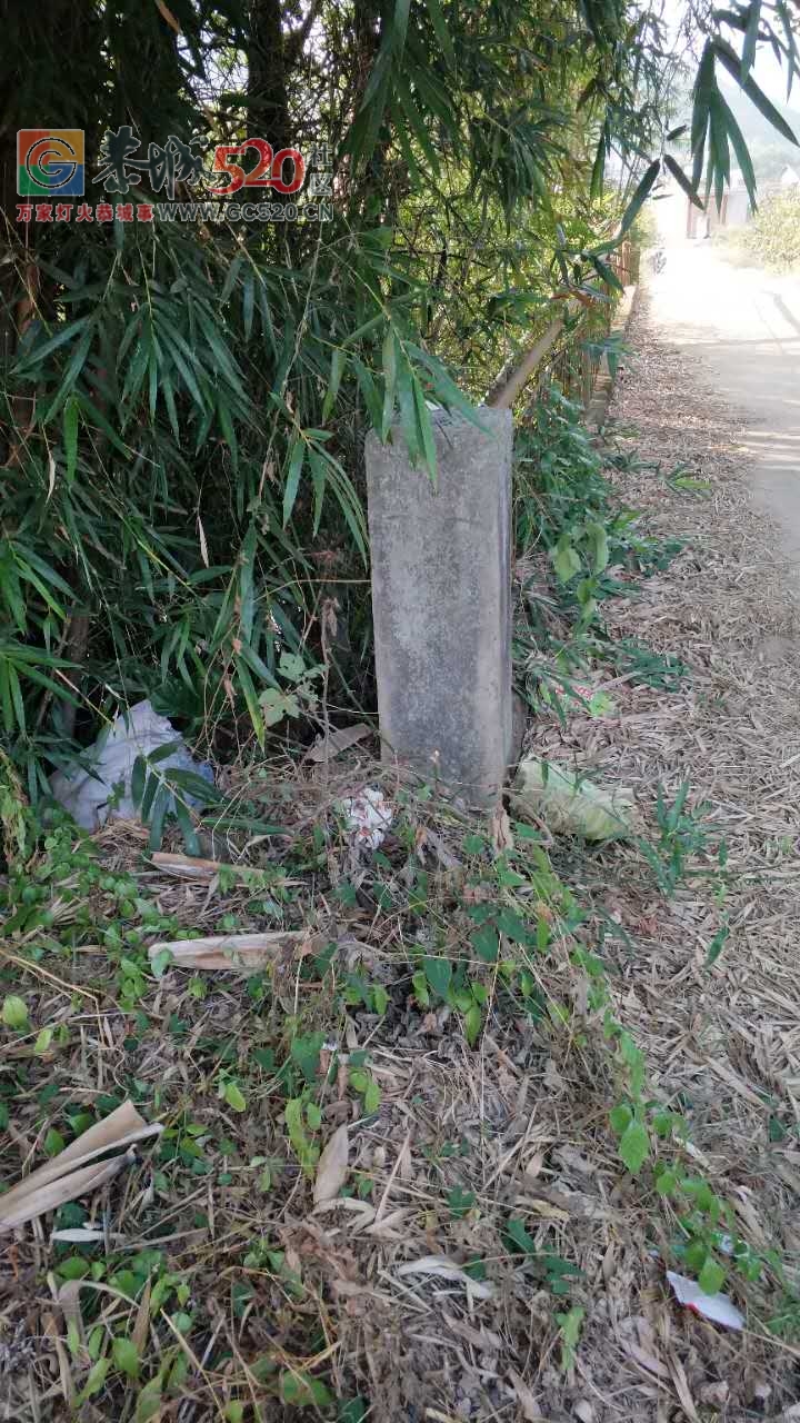 西岭乡下宋村委龙岩自然村垃圾成堆无人清理！垃圾费照收！61 / 作者:脚踏实地 / 帖子ID:237393