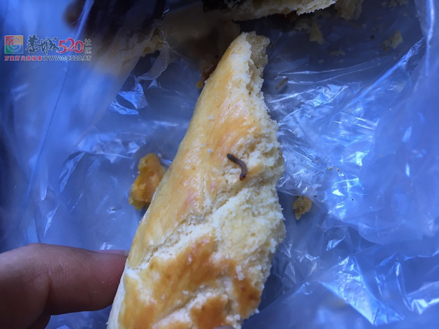 【恶心】必须曝光恭城这家黑心的店47 / 作者:爱生活爱美食 / 帖子ID:237696