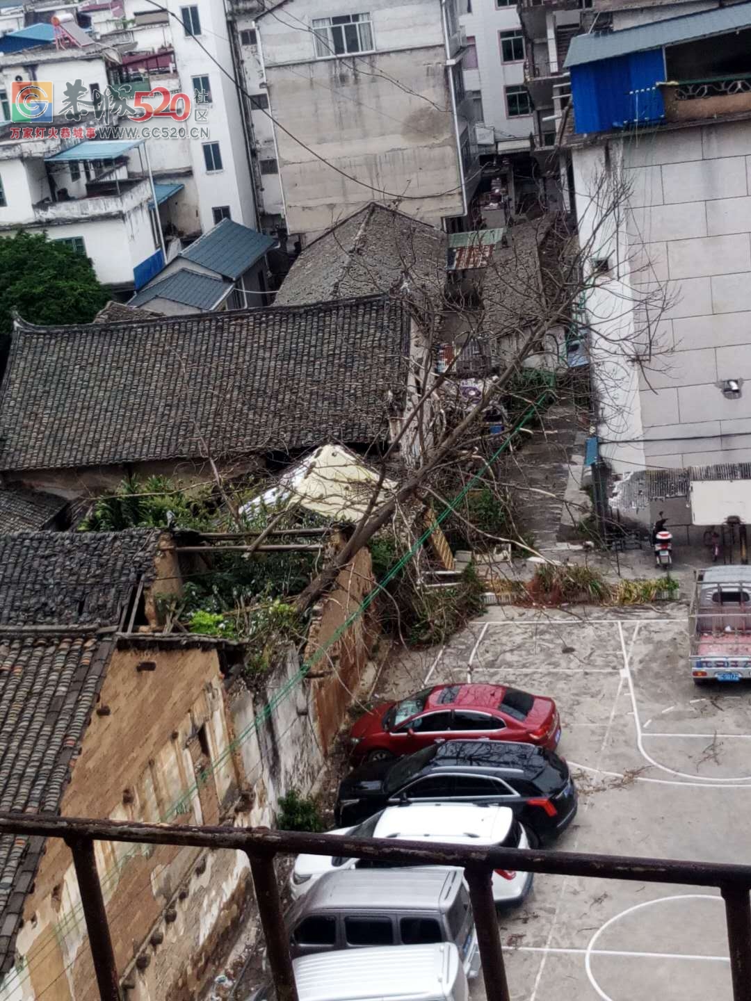 老国税局篮球场这里有颗树倒在电线上了，一不小心就会出事...381 / 作者:恭城栗木人 / 帖子ID:237735