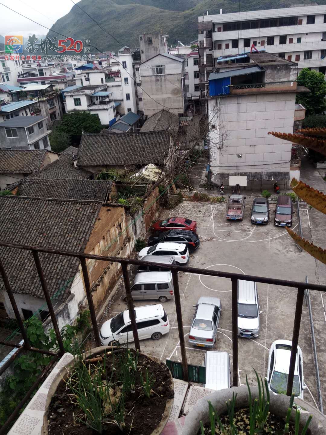 老国税局篮球场这里有颗树倒在电线上了，一不小心就会出事...149 / 作者:恭城栗木人 / 帖子ID:237735