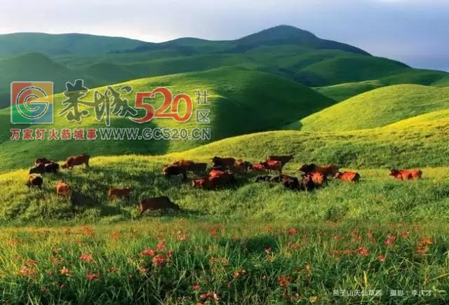 广西首个被联合国点名！桂林恭城你牛逼得很有底气916 / 作者:糕富帅 / 帖子ID:237796