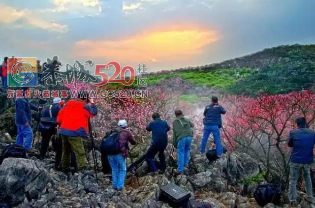 广西首个被联合国点名！桂林恭城你牛逼得很有底气475 / 作者:糕富帅 / 帖子ID:237796