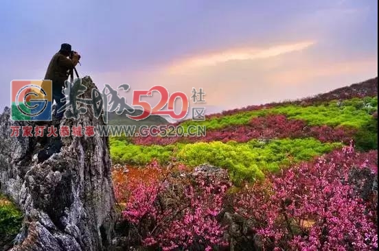 广西首个被联合国点名！桂林恭城你牛逼得很有底气747 / 作者:糕富帅 / 帖子ID:237796