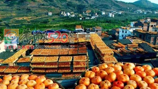 广西首个被联合国点名！桂林恭城你牛逼得很有底气707 / 作者:糕富帅 / 帖子ID:237796