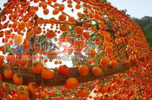 广西首个被联合国点名！桂林恭城你牛逼得很有底气109 / 作者:糕富帅 / 帖子ID:237796