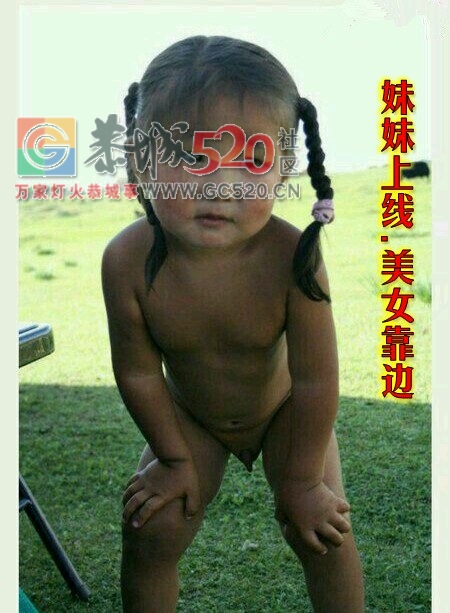 龙虎古镇向日葵花开741 / 作者:龍虎袍哥 / 帖子ID:237823
