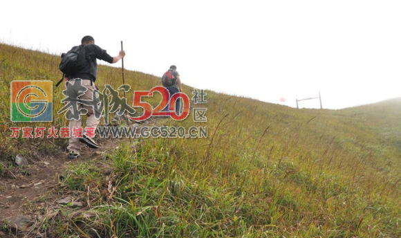 早安，燕子山的云海126 / 作者:卵仔仔 / 帖子ID:237908