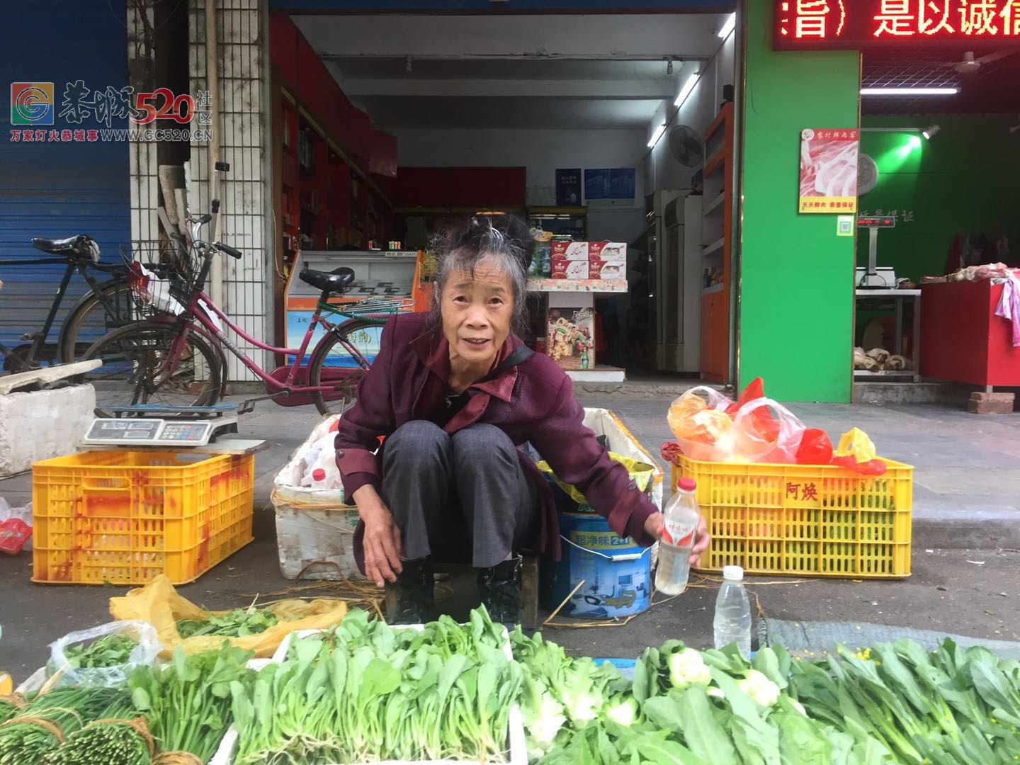 没有他们，哪来我们的一日三餐放心菜？（请善待每一位卖菜老人）171 / 作者:狗婆蛇 / 帖子ID:237957
