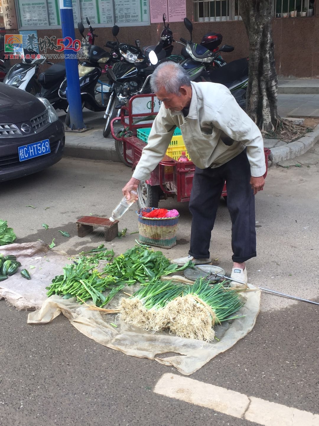 没有他们，哪来我们的一日三餐放心菜？（请善待每一位卖菜老人）163 / 作者:狗婆蛇 / 帖子ID:237957