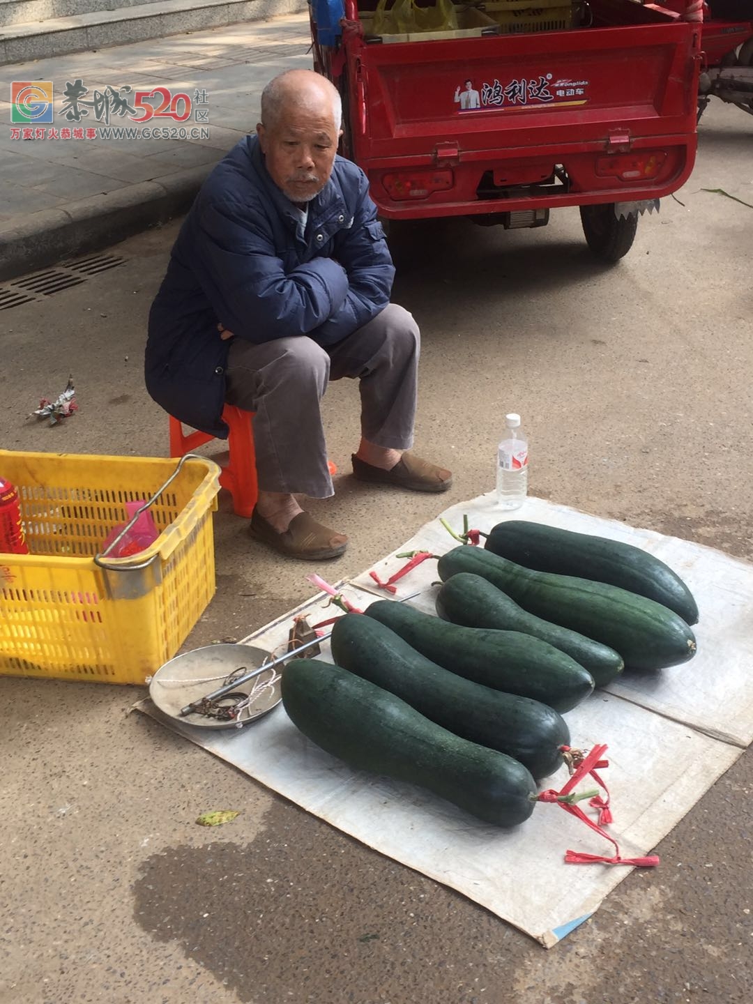 没有他们，哪来我们的一日三餐放心菜？（请善待每一位卖菜老人）896 / 作者:狗婆蛇 / 帖子ID:237957