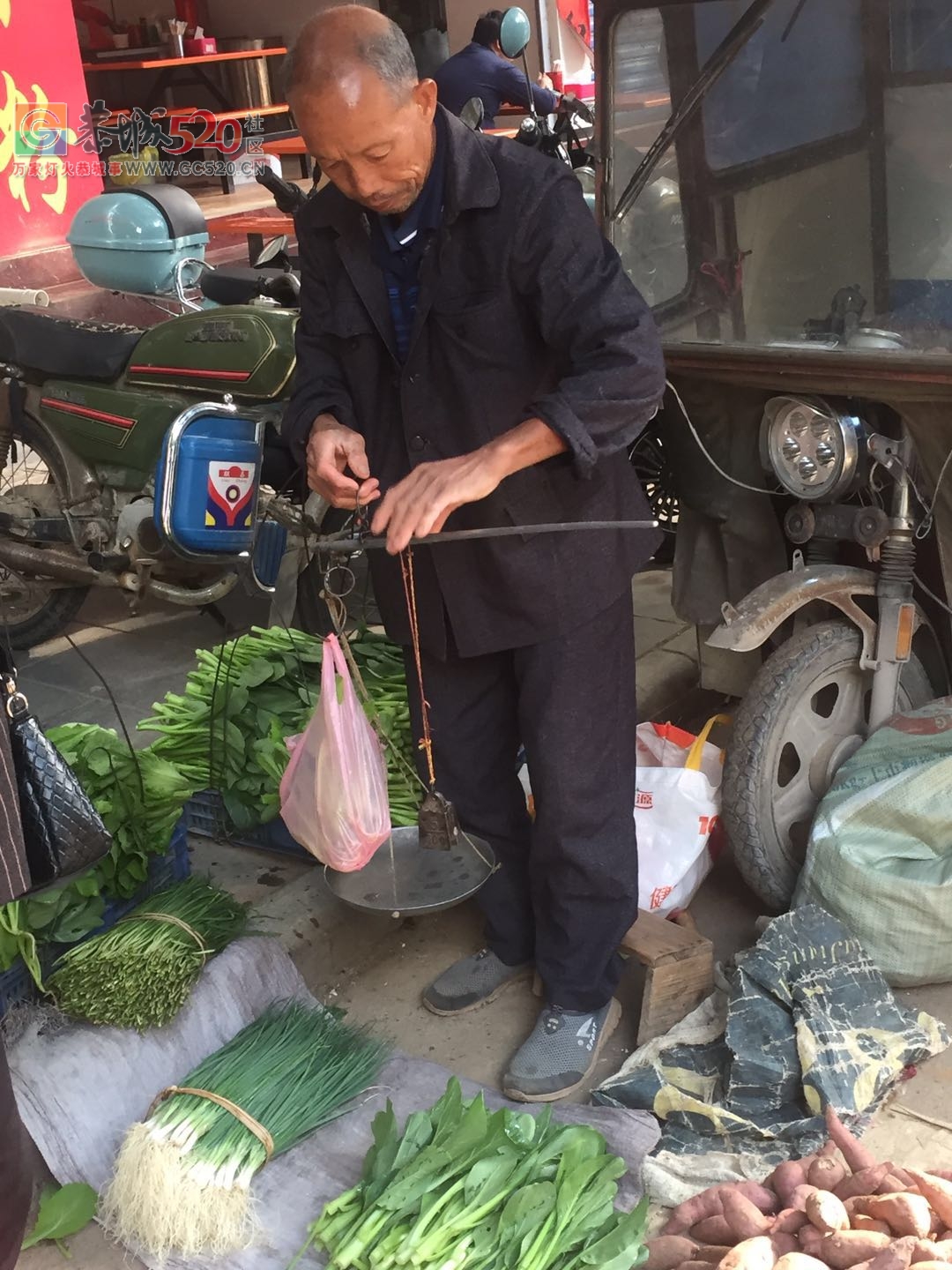 没有他们，哪来我们的一日三餐放心菜？（请善待每一位卖菜老人）874 / 作者:狗婆蛇 / 帖子ID:237957