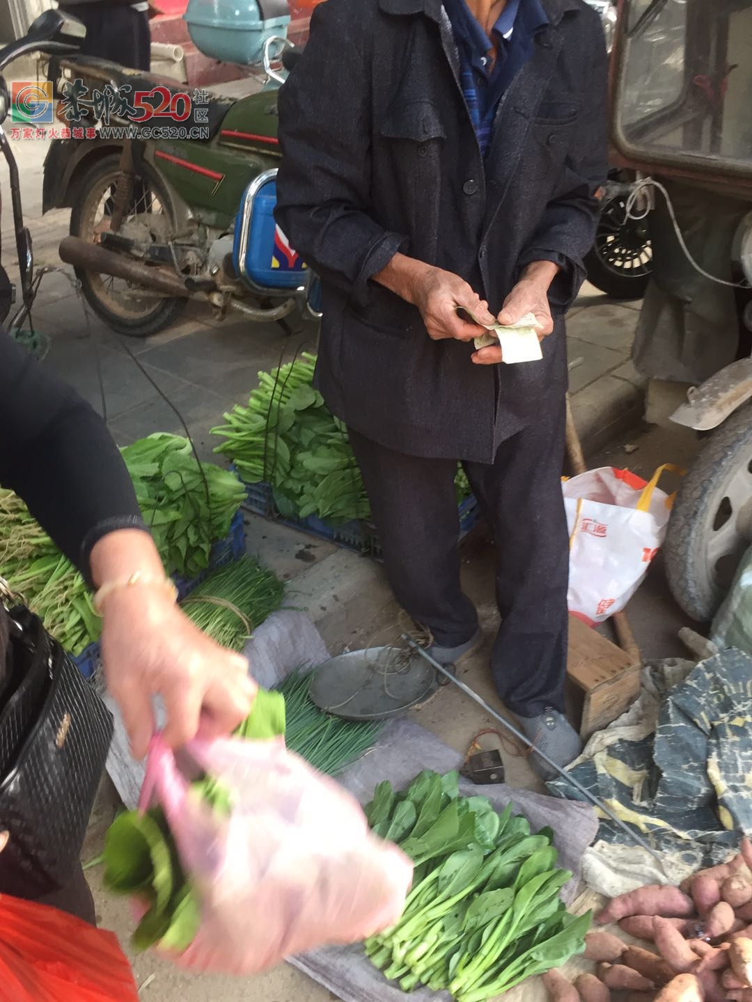 没有他们，哪来我们的一日三餐放心菜？（请善待每一位卖菜老人）959 / 作者:狗婆蛇 / 帖子ID:237957