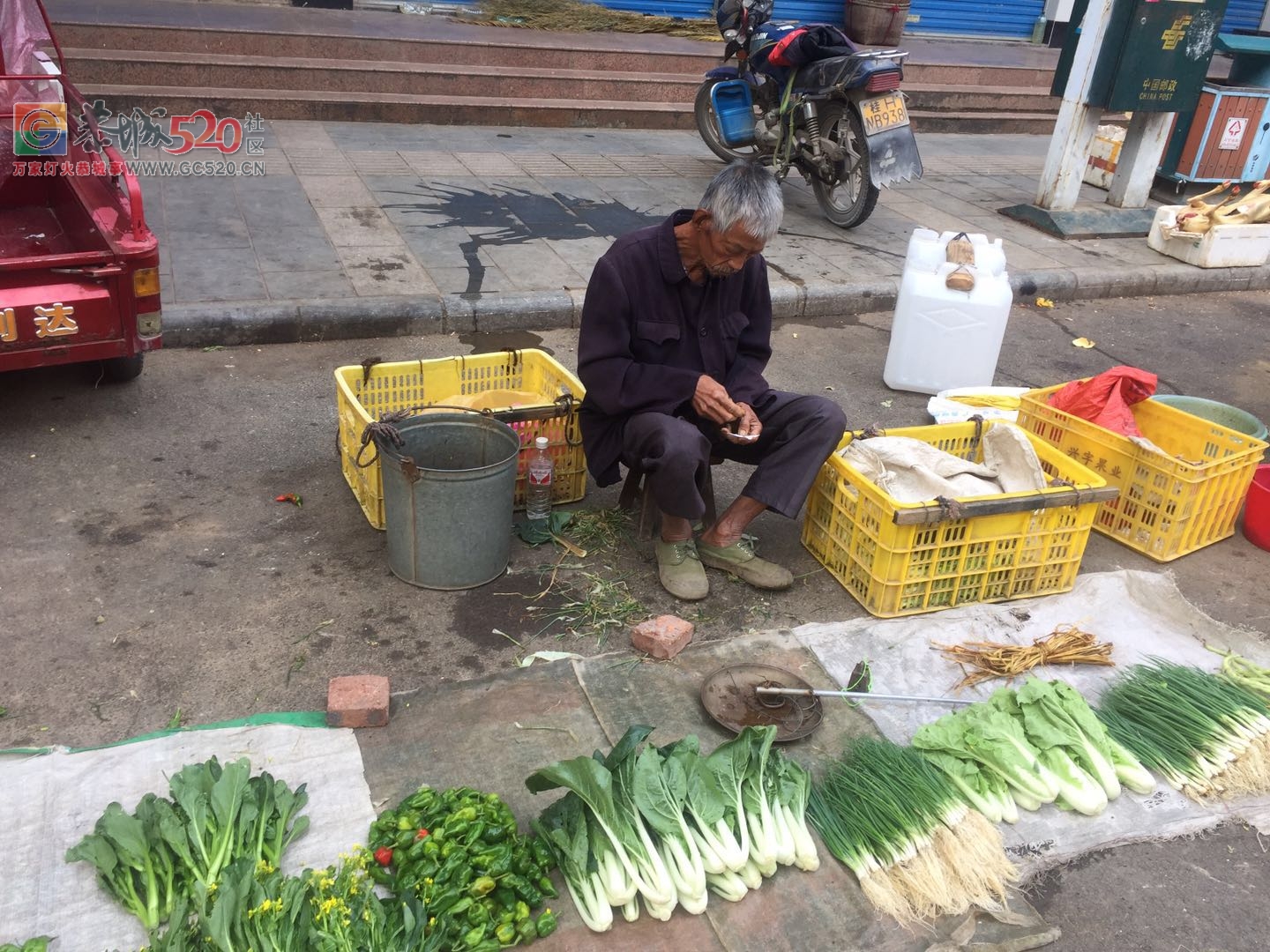 没有他们，哪来我们的一日三餐放心菜？（请善待每一位卖菜老人）915 / 作者:狗婆蛇 / 帖子ID:237957