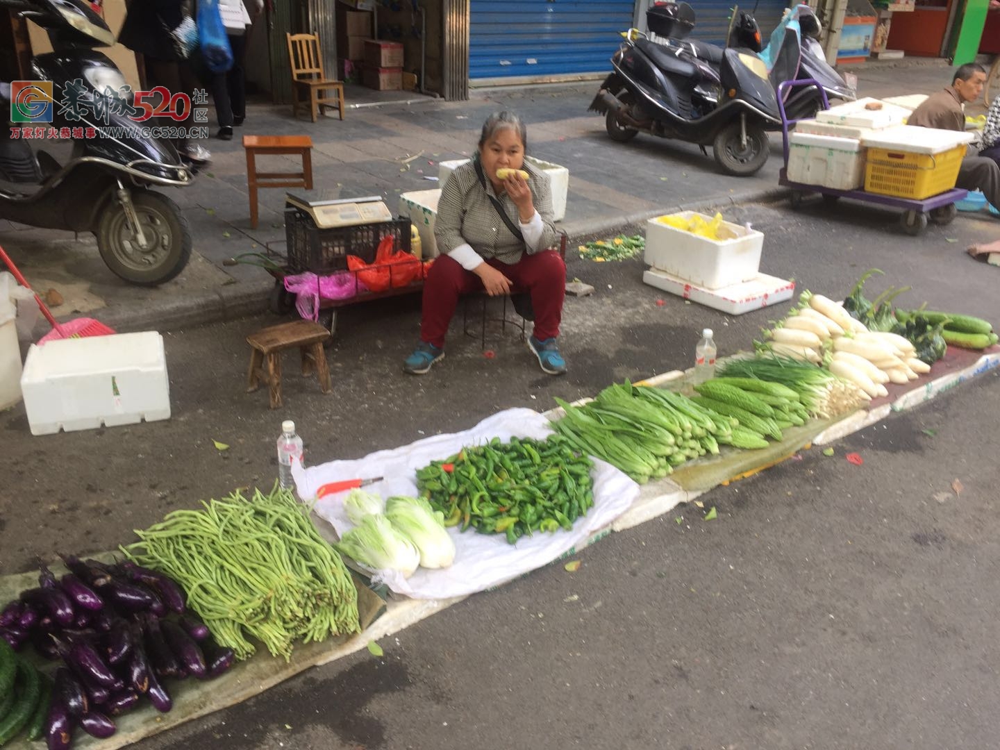 没有他们，哪来我们的一日三餐放心菜？（请善待每一位卖菜老人）797 / 作者:狗婆蛇 / 帖子ID:237957