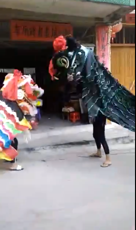 恭城传统不要丢！！---看莲花最小舞狮队无师自学89 / 作者:黄氏响丸 / 帖子ID:237993