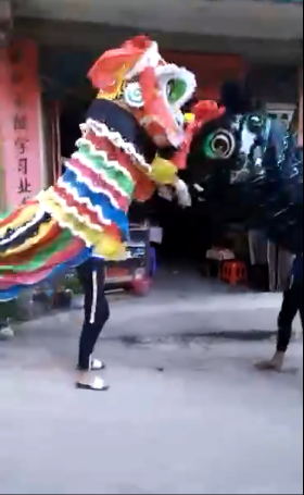 恭城传统不要丢！！---看莲花最小舞狮队无师自学134 / 作者:黄氏响丸 / 帖子ID:237993