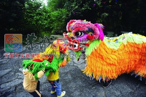 恭城传统不要丢！！---看莲花最小舞狮队无师自学429 / 作者:黄氏响丸 / 帖子ID:237993