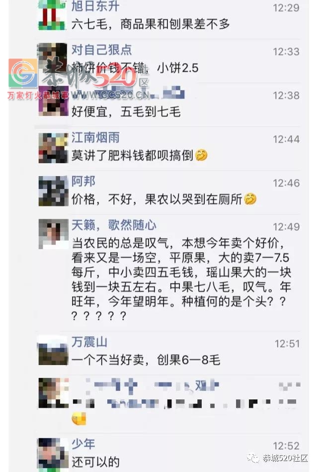 恭城柿子成熟挂满枝头，柿农却愁上心头，“柿贱伤农”盼拓宽销路361 / 作者:丽丽看花 / 帖子ID:237996
