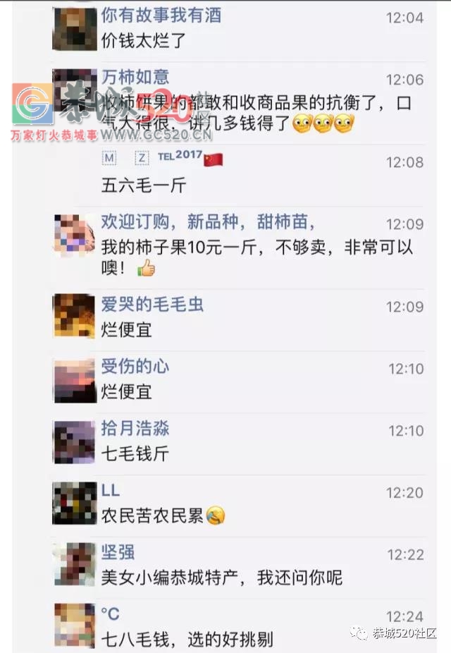 恭城柿子成熟挂满枝头，柿农却愁上心头，“柿贱伤农”盼拓宽销路853 / 作者:丽丽看花 / 帖子ID:237996