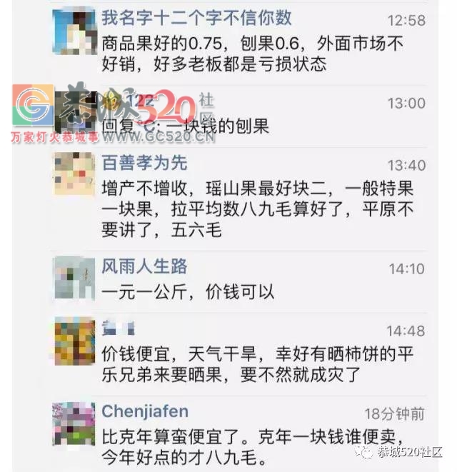 恭城柿子成熟挂满枝头，柿农却愁上心头，“柿贱伤农”盼拓宽销路956 / 作者:丽丽看花 / 帖子ID:237996