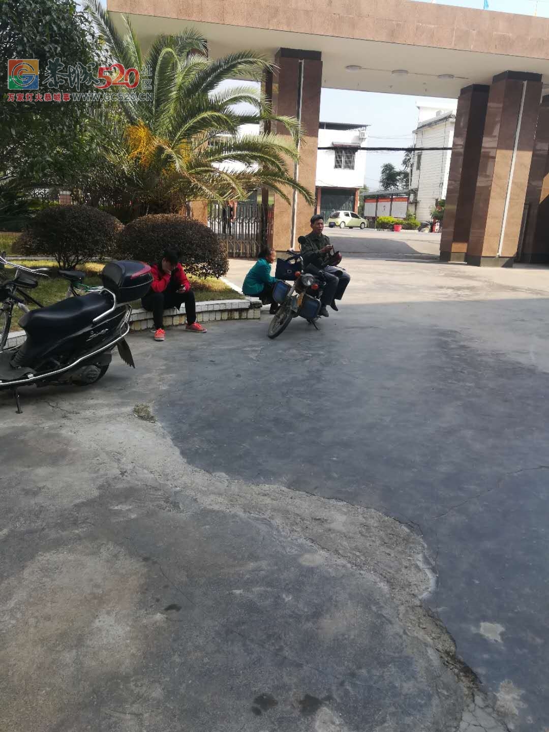 为人民服务？试问平安乡政府你做到了么？364 / 作者:凤凰山脚的人家 / 帖子ID:238001