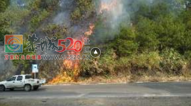 险火！险火！！老水泥厂至满塘路段着火了！！！438 / 作者:糕富帅 / 帖子ID:238002
