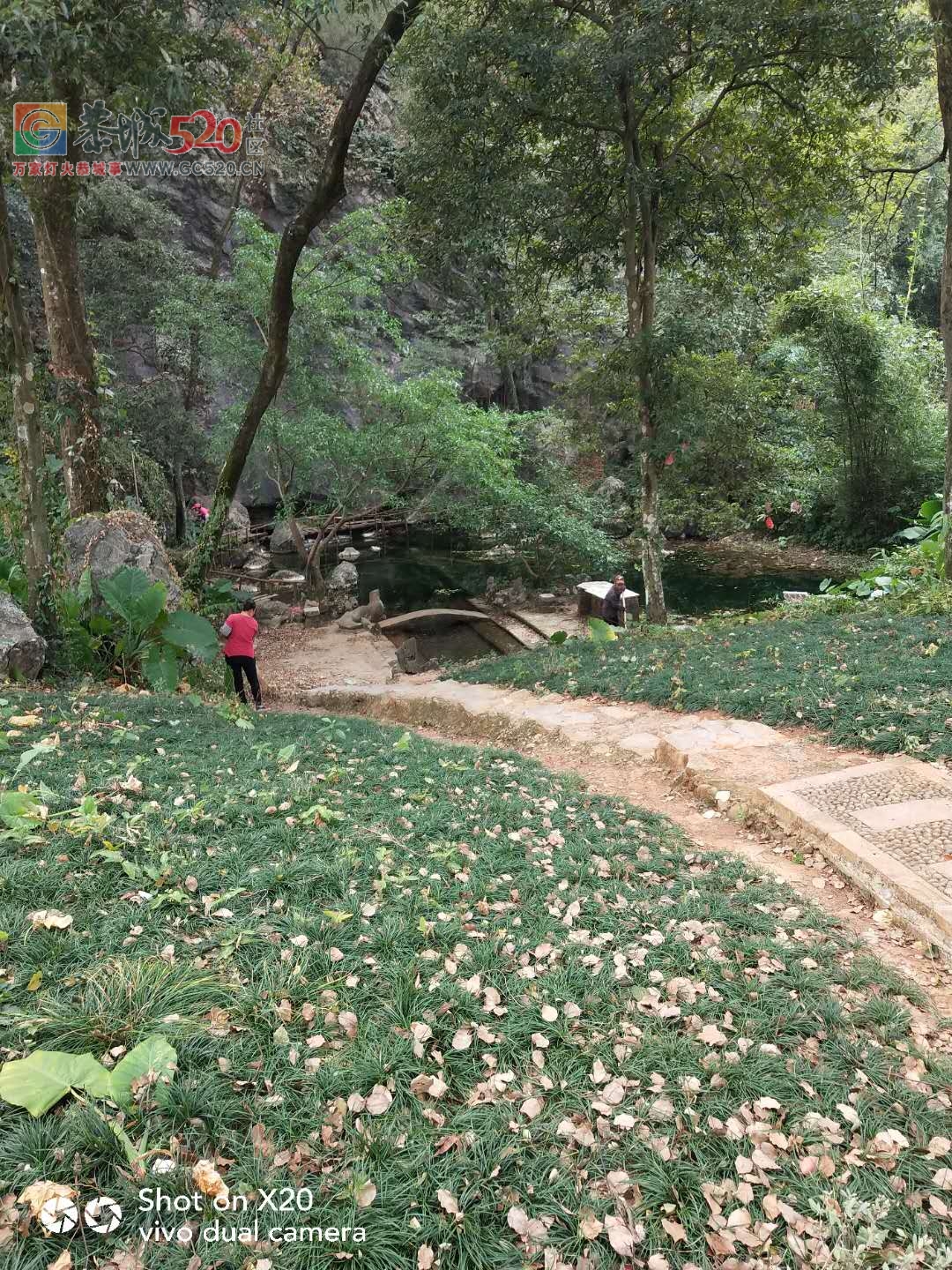 又是一年重阳到，看上岩村村民为9月9活动做准备359 / 作者:登山涉水 / 帖子ID:238004