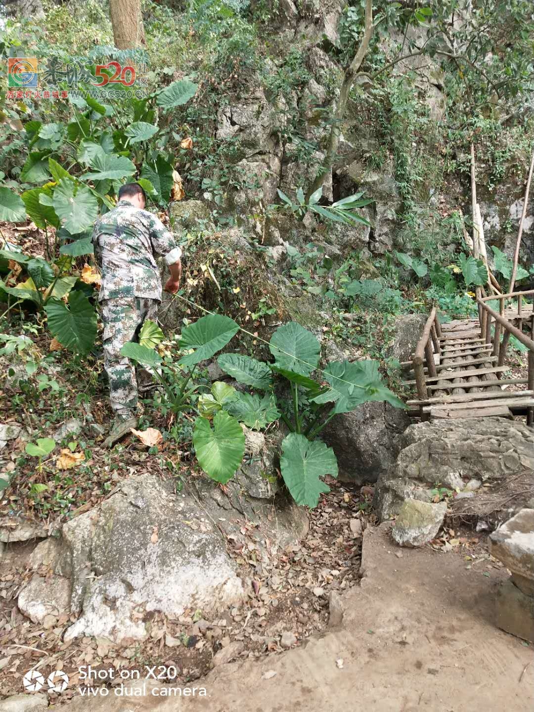 又是一年重阳到，看上岩村村民为9月9活动做准备368 / 作者:登山涉水 / 帖子ID:238004