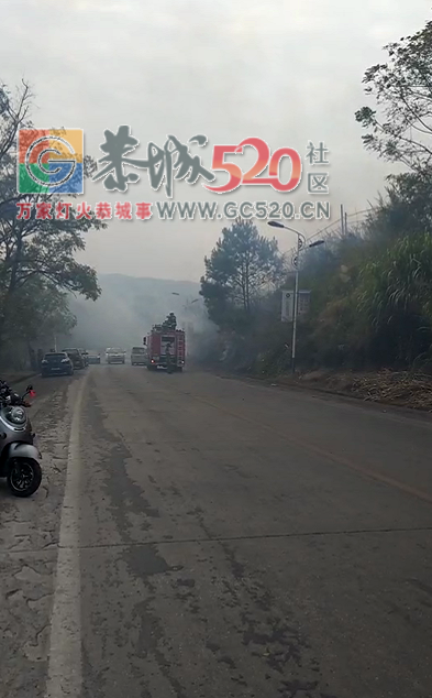 惊！叫花祖对面路口火烧山！！259 / 作者:奶崽 / 帖子ID:237998