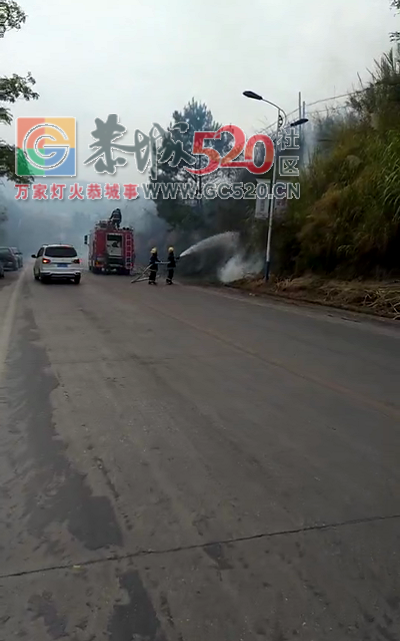 惊！叫花祖对面路口火烧山！！995 / 作者:奶崽 / 帖子ID:237998
