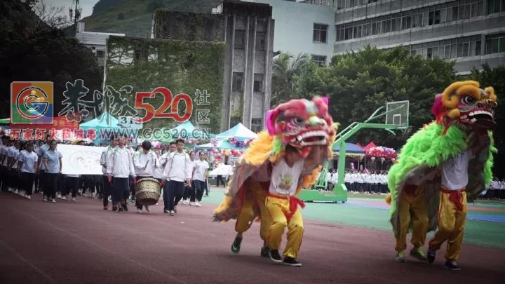 赞！这才是恭城中学校运会开幕式的正确打开方式！714 / 作者:凤凰山脚的人家 / 帖子ID:238040