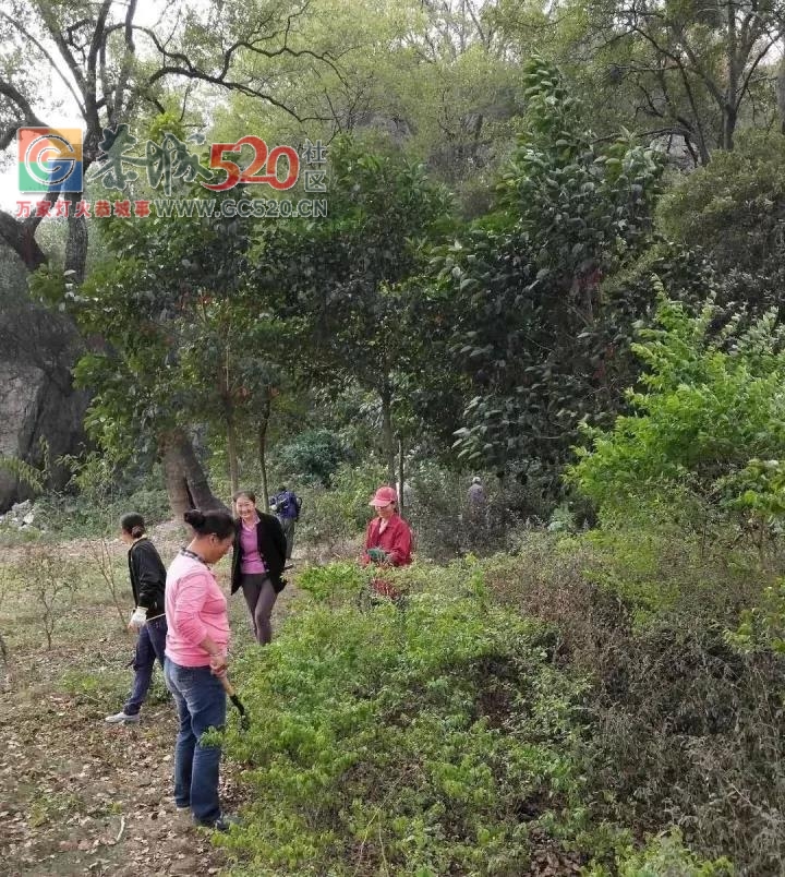【恭城】嘉会上岩村重阳节“尊老敬老”活动正在紧锣密鼓的筹备中965 / 作者:儿时的回忆 / 帖子ID:238041